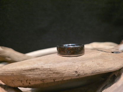 Utah Dinosaur Bone Titanium Channel Inlay Ring (Size 11.5) #241