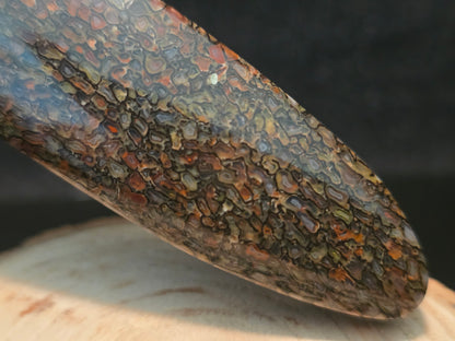 Dinosaur Gem Bone Kershaw Leek Folding Pocket Knife(Model 1660) #233