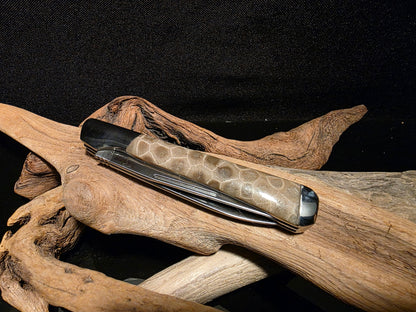 Petoskey Stone Kershaw Allegory 2 Blade Folding Pocket Knife (Model 4385) #168