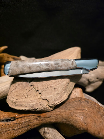 Petoskey Stone Kershaw Allegory Folding Pocket Knife (Model 4385) #249