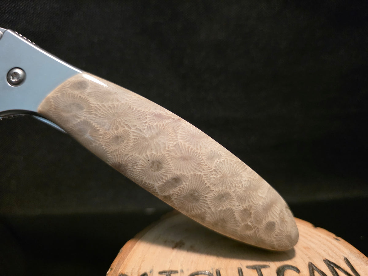 Petoskey Stone Kershaw Leek Folding Pocket Knife (Model 1660) #245