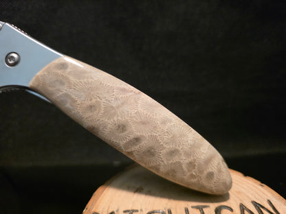Petoskey Stone Kershaw Leek Folding Pocket Knife (Model 1660) #245