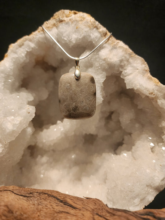 Petoskey Stone Pendant #46