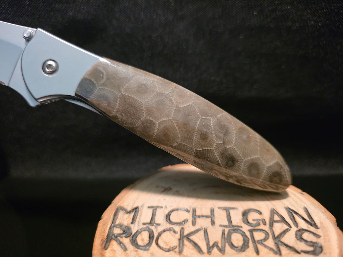 Petoskey Stone Kershaw Leek Folding Pocket Knife (Model 1660) #247