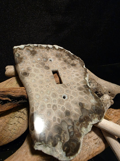 Petoskey Stone Single Switch Plate Cover #181