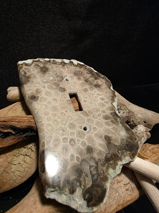 Petoskey Stone Single Switch Plate Cover #181