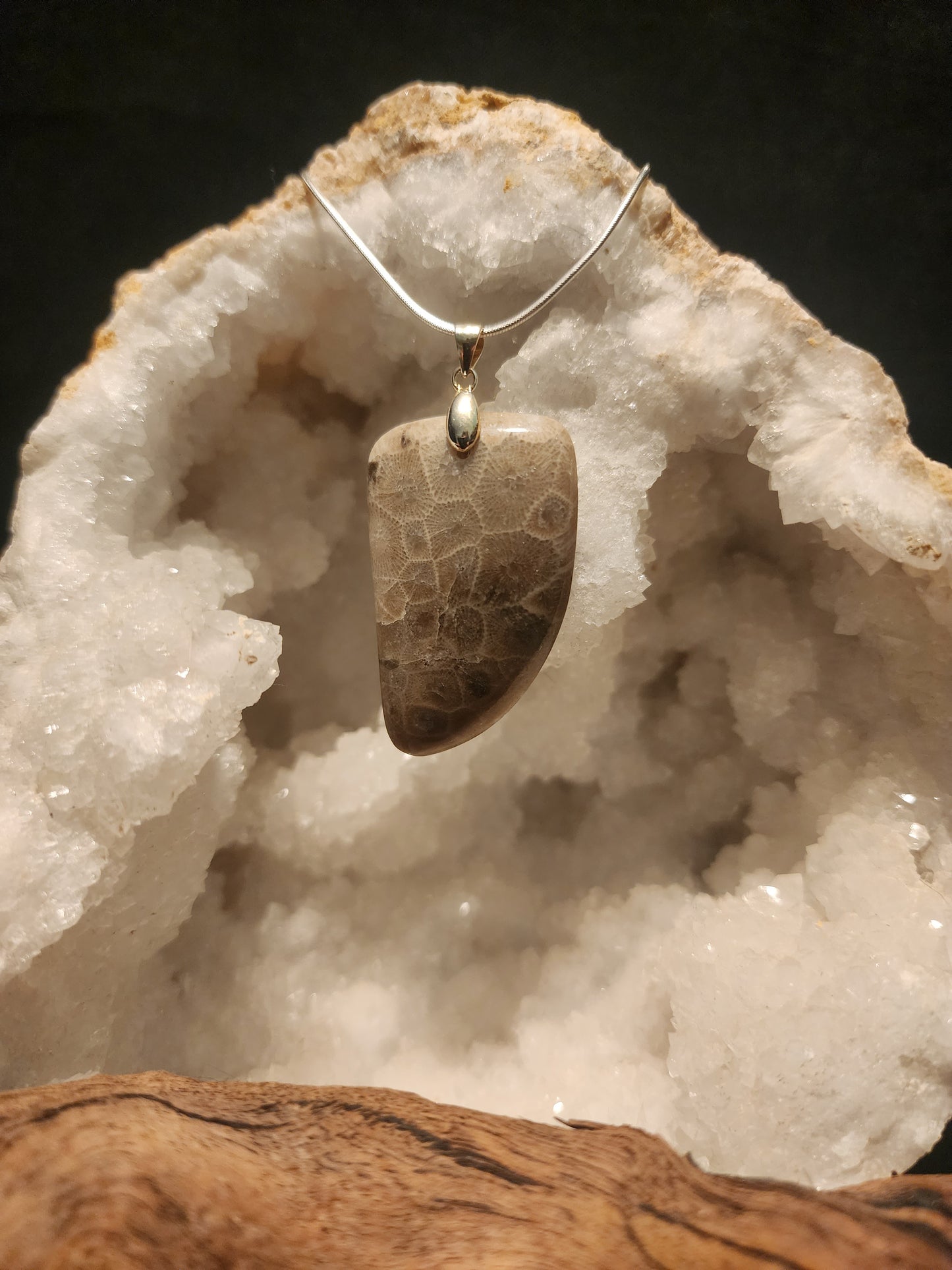 Petoskey Stone Pendant #42