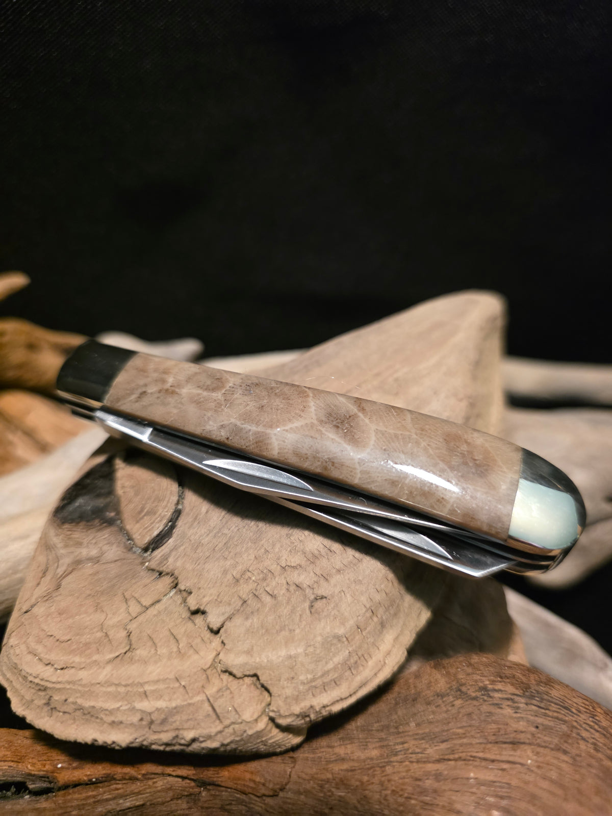 Petoskey Stone Kershaw Gadsden Folding Pocket Knife (Model 4381RB) #250